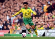 开云体育官网-狼队客场战胜诺里奇，取得保级关键胜利