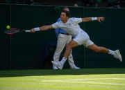 开云体育app-年终总决赛完胜戴维斯杯，鲁德刷新纪录的简单介绍