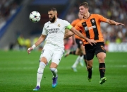 开云体育下载-南安普顿主场告捷，重返胜利列车的简单介绍