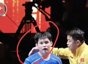 开云体育直播-关于法国乒乓球队力克比利时乒乓球队，王皓制霸全场的信息