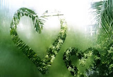 开云下载-关于勇士队实力碾压对手，狂胜分夺冠的信息