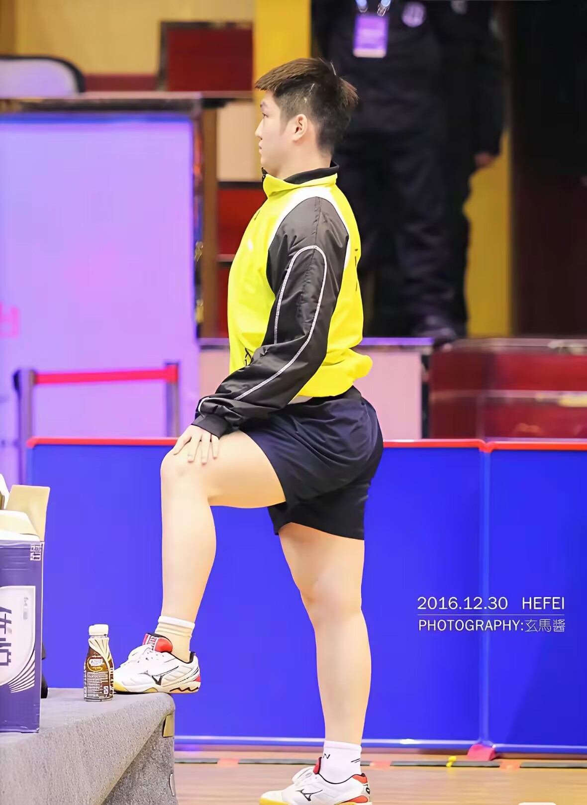 日本乒乓球队碾压中国乒乓球队，波尔一己之力扛起全队的简单介绍