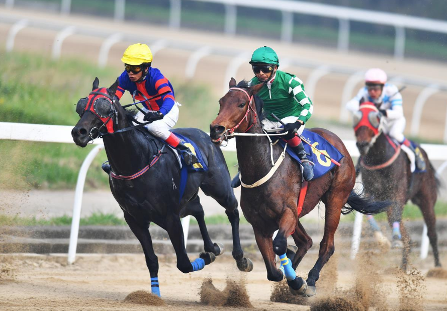 中国篮球赛场上连连发生引人注目的大事 中国篮球赛场上连连发生引人注目的大事