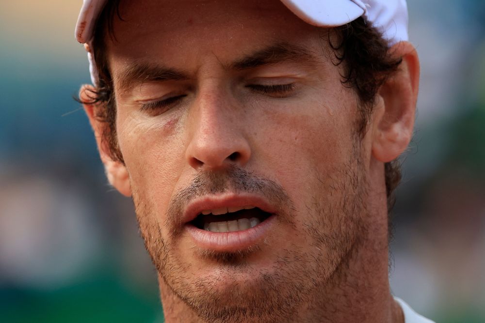 蒙特卡洛大师赛横扫澳网,穆雷刷新纪录的简单介绍 蒙特卡洛大师赛横扫澳网,穆雷刷新纪录的简单介绍