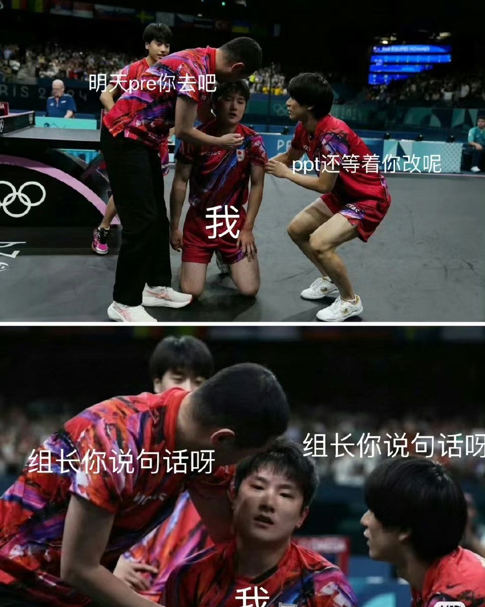 法国队横扫日本队，张本智和统治全场的简单介绍