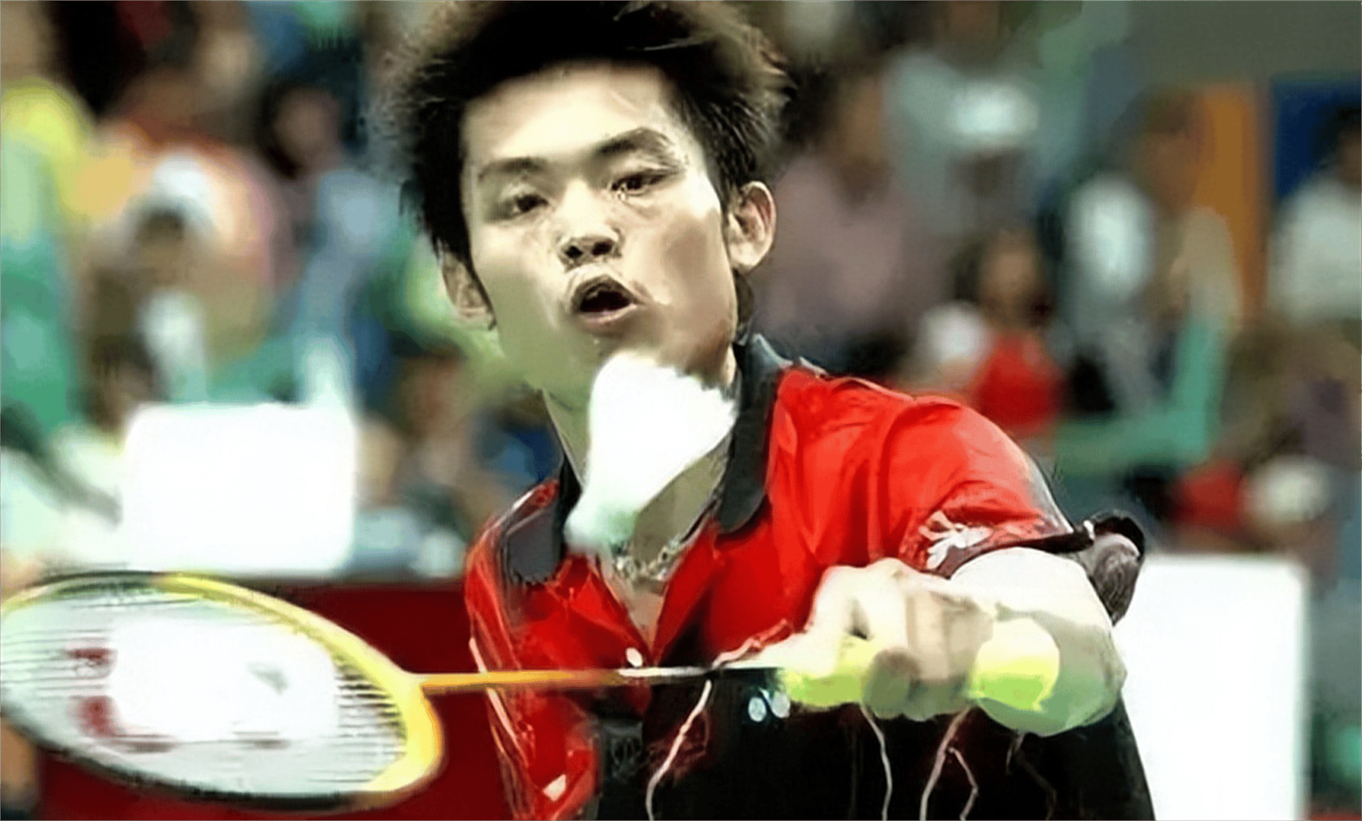 日本羽毛球队血洗丹麦羽毛球队，林丹惊艳世界的简单介绍