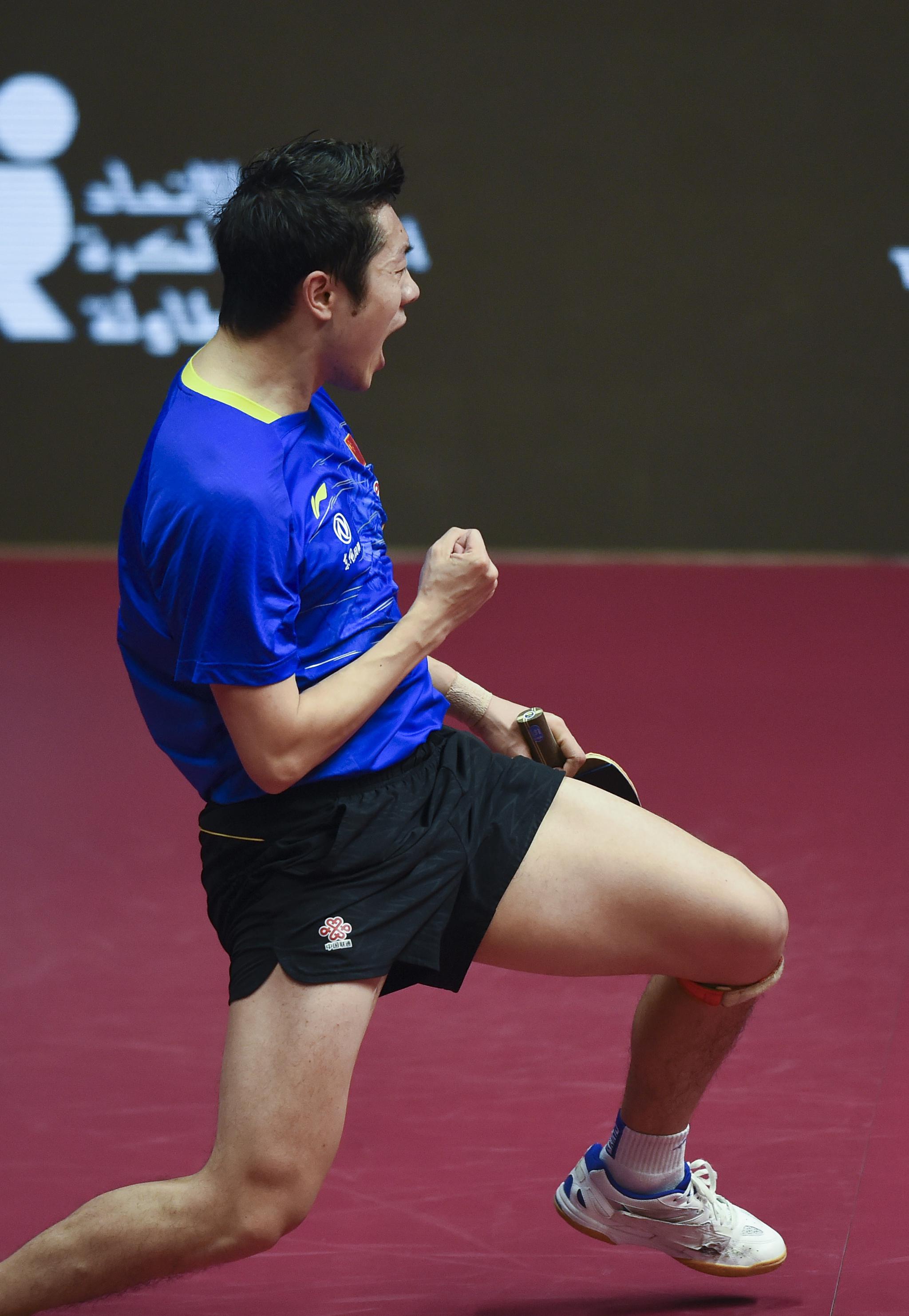 葡萄牙队鏖战奥地利队，许昕高光表现的简单介绍